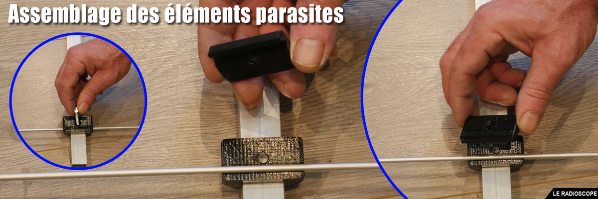 elements parasites