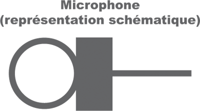 micro representation schematique