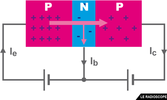 pnp 01